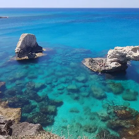 Elena Gardens Willa *