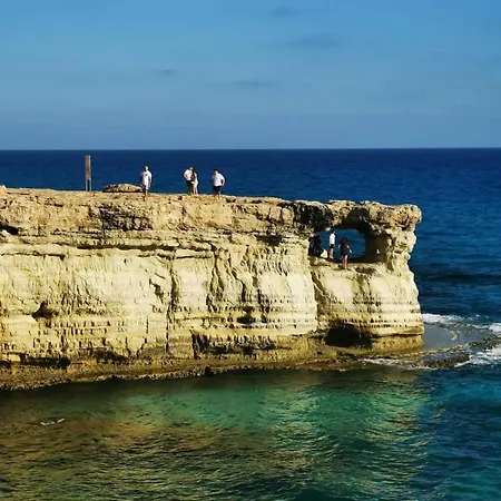 Elena Gardens Willa *