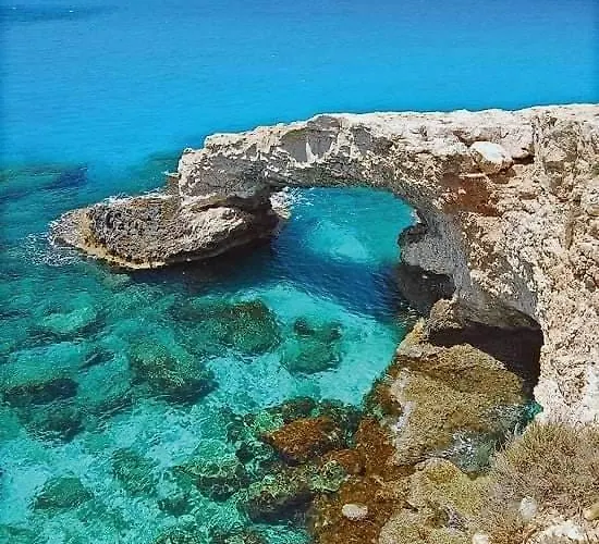 Villa Elena Gardens *